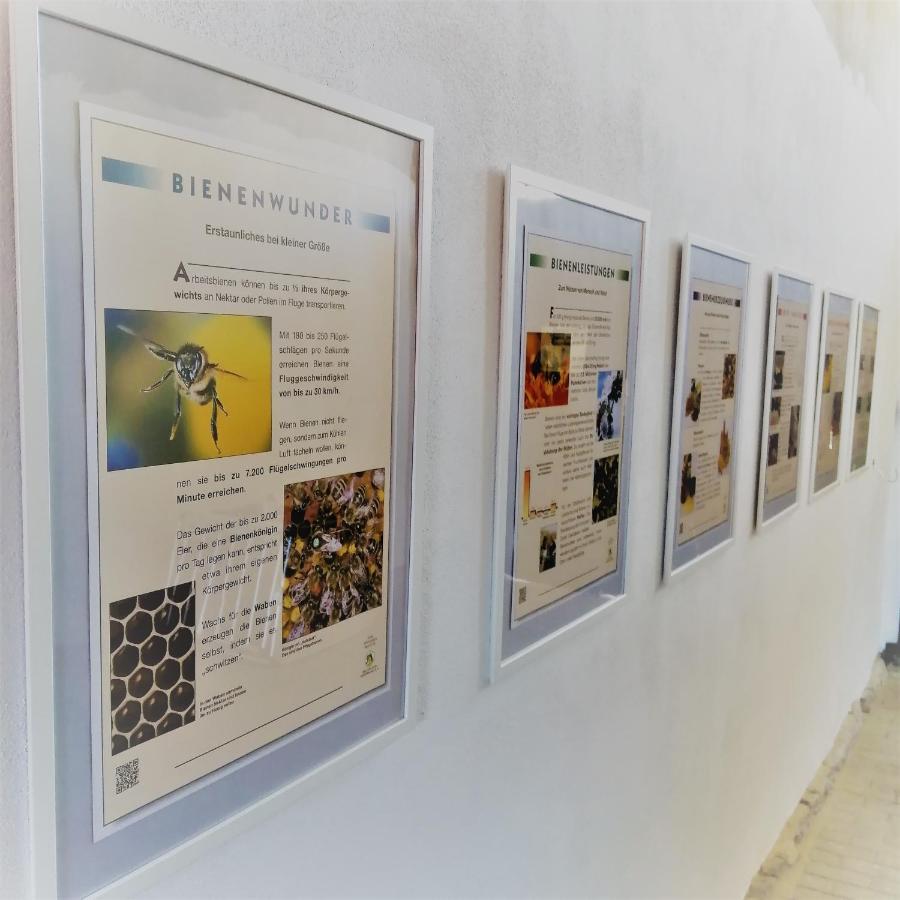 Gaestequartier Mittendrin In Coswig  Dış mekan fotoğraf